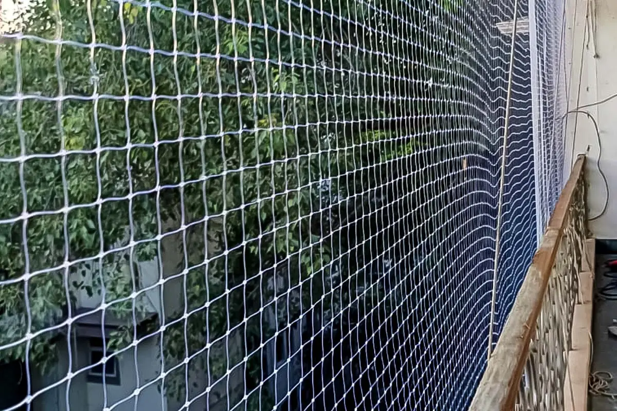 Pigeon net Net work Bird net
